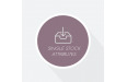 Single Stock Attributes